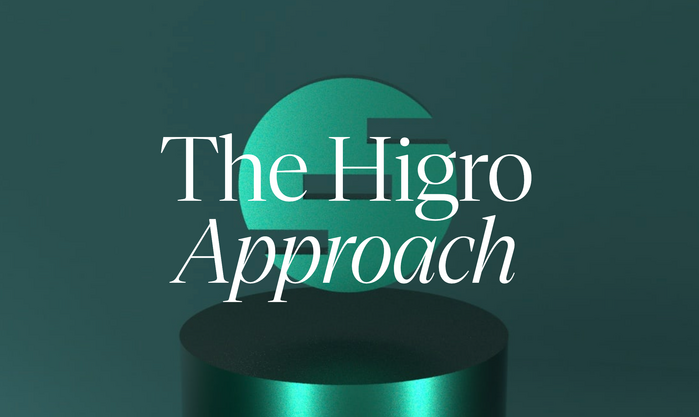 Higro Group website 1