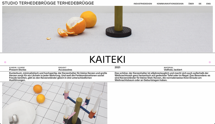 Studio Terhedebrügge Terhedebrügge website 2