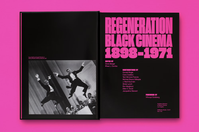 Regeneration: Black Cinema 1898–1971 2