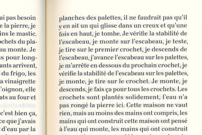 Le régime parfait by Estelle Benazet Heugenhauser 3