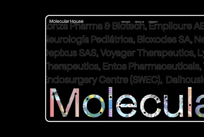 Molecular House visual identity and website 3