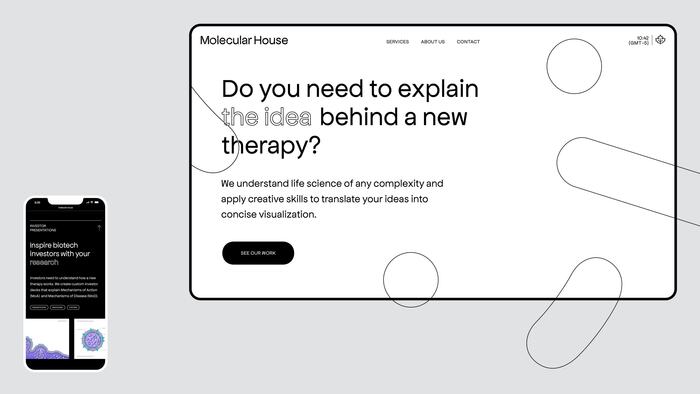 Molecular House visual identity and website 4