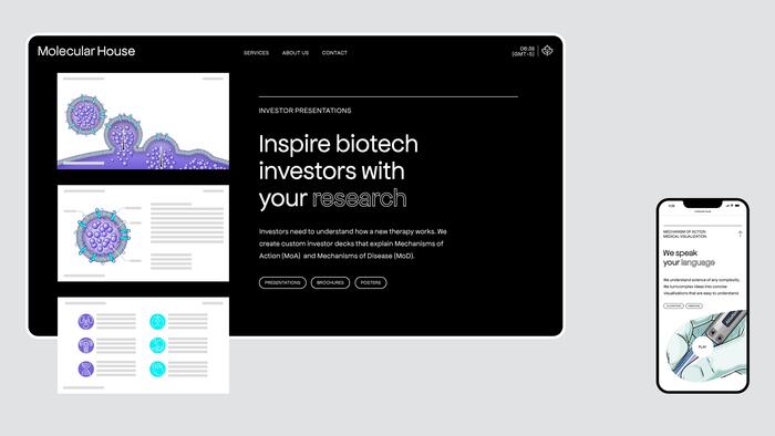 Molecular House visual identity and website 5