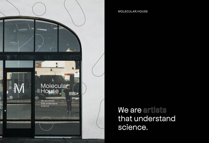 Molecular House visual identity and website 6