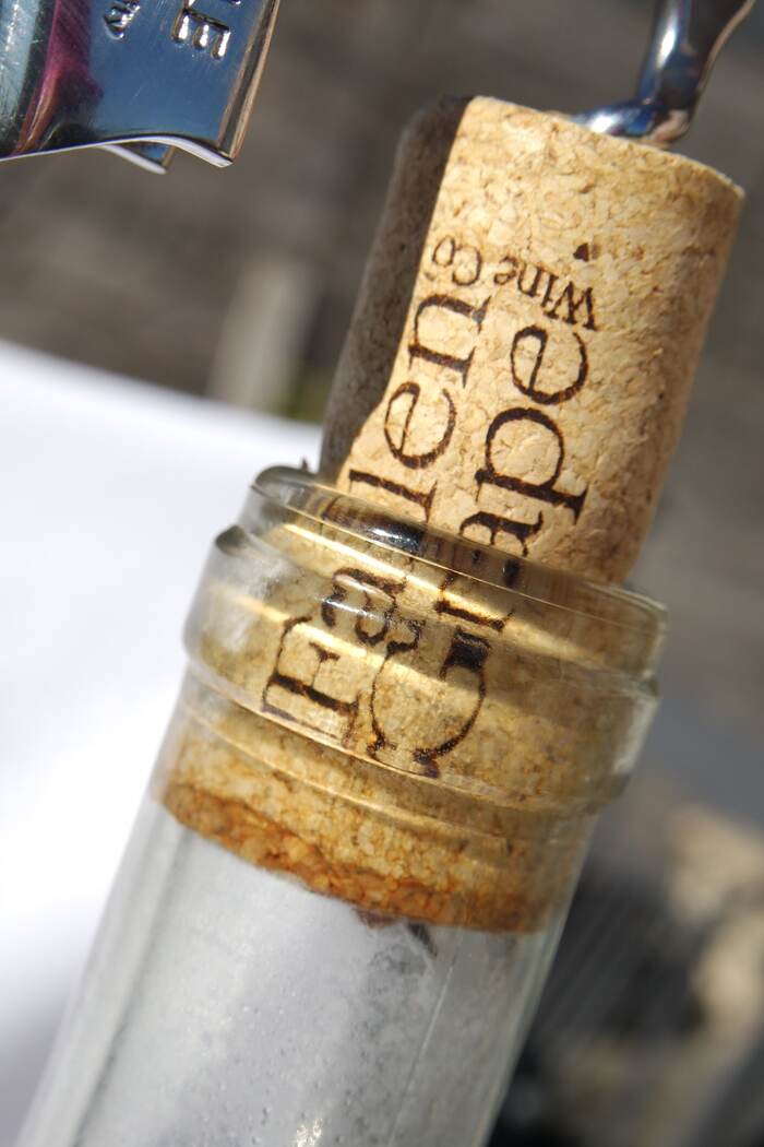 Fallen Grape Wine Co. 4