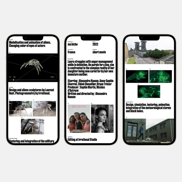 Irrational portfolio website 2