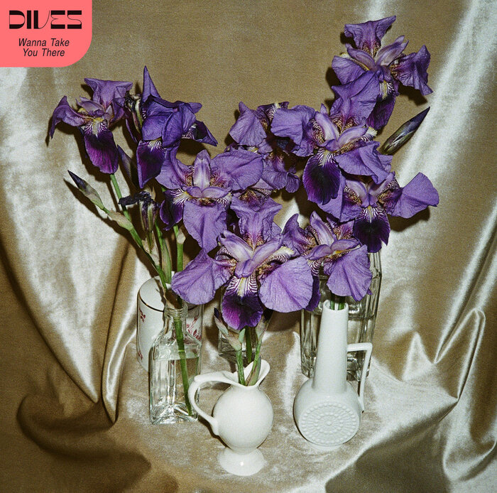 DIVES – Wanna Take You There album art and tour poster 1