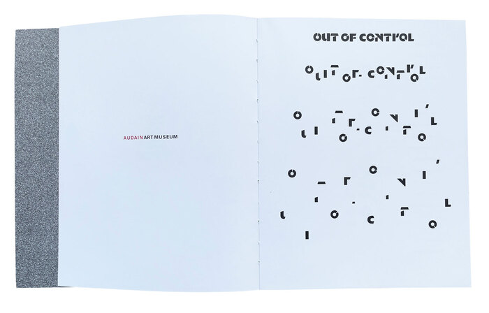 Out of Control: The Concrete Art of Skateboarding, Audain Art Museum 8