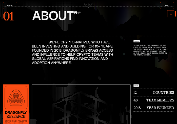 Dragonfly website 2