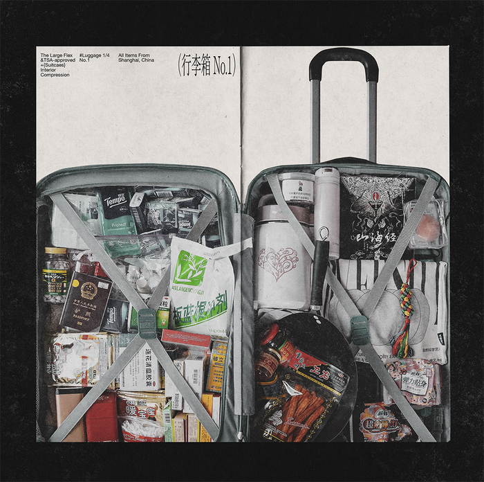 Suitcase by Jiating Shi 4