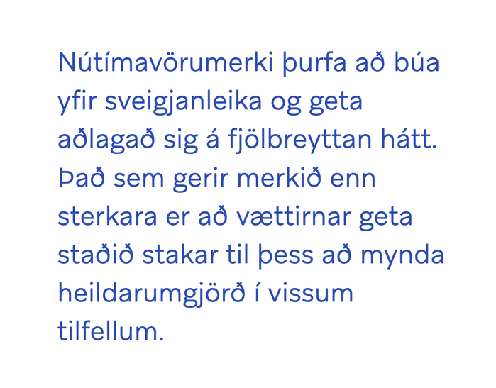 For Iceland website 4