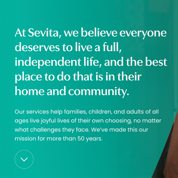 Sevita website 2