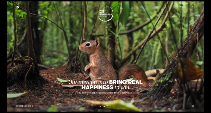 Real happiness project website 5