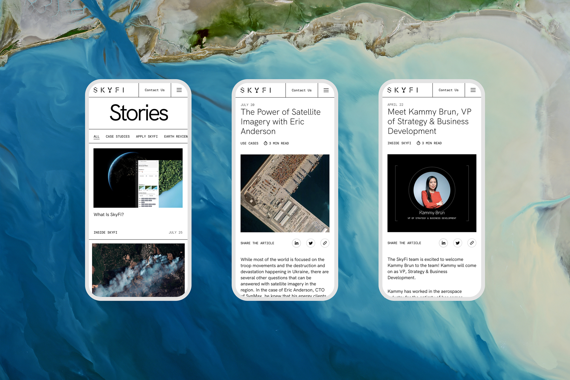 Skyfi Website Fonts In Use