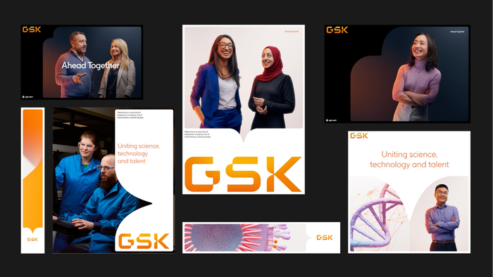 GSK 3