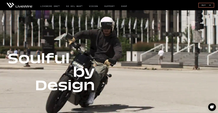 LiveWire brand identity 6