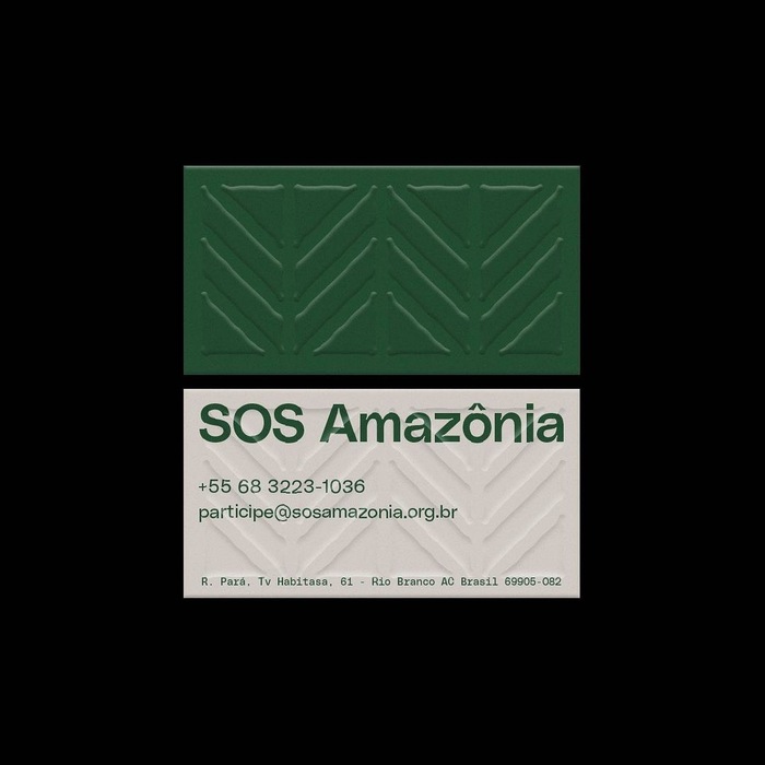 SOS Amazônia 8
