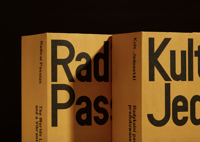 Radical Passion. The World’s Longest Produced Electric Train and a Vibrant Train Culture 10