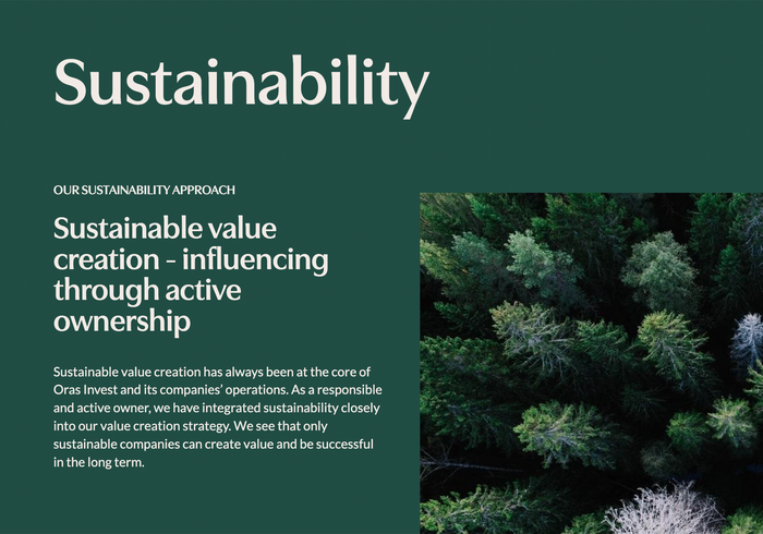 Oras Invest website 5