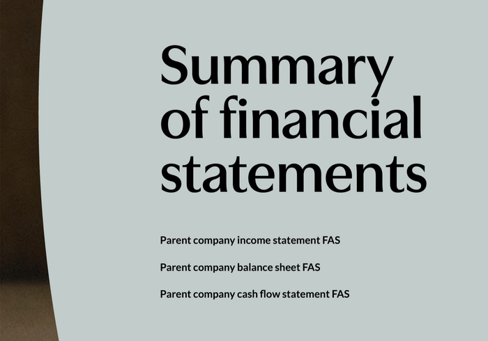 Oras Invest website 3