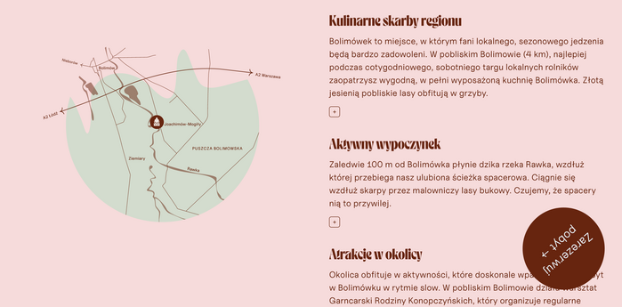 Detail of the website (Polish version)