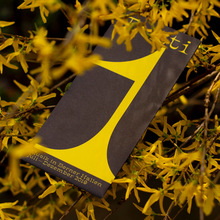 Tutti, Musik in Berner Hallen