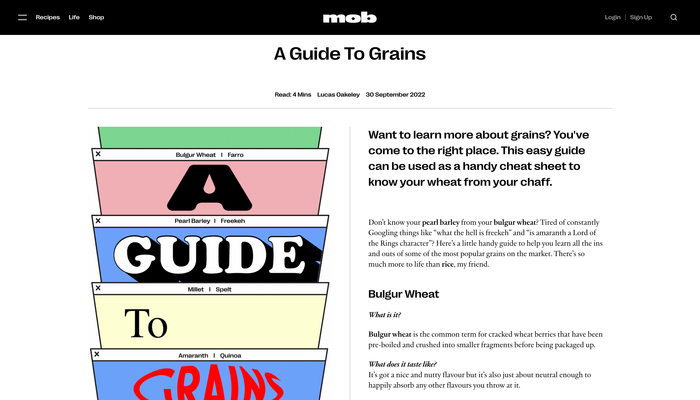 Mob website 2