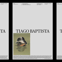 Tiago Baptista website and letterheads