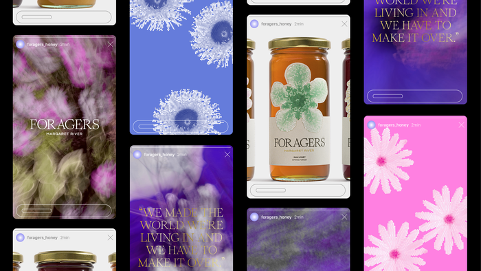 Foragers Honey 6