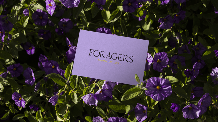 Foragers Honey 8