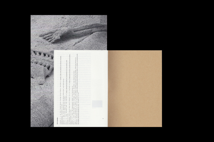 Pedro Valdez Cardoso: Promenade au désert 11