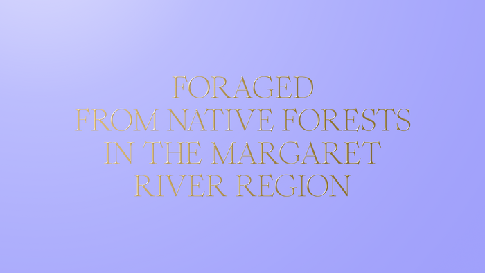 Foragers Honey 1