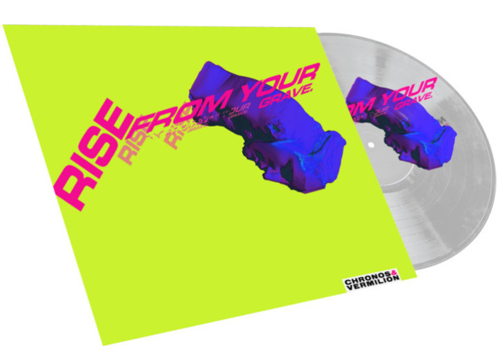 Sleeve with vinyl record