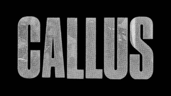 Gonjasufi – Callus album art 3