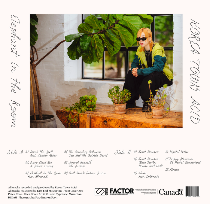 Korea Town Acid – Elephant in the Room album art and posters 7