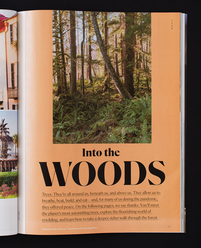 AFAR magazine (2022–) 10