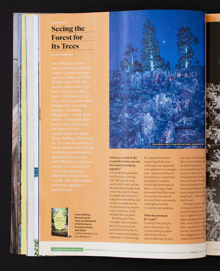 AFAR magazine (2022–) 18