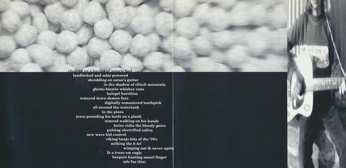 CD inlay