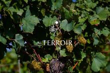 AuTerroir