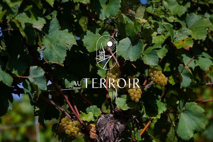 AuTerroir 1