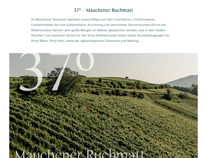 AuTerroir 8