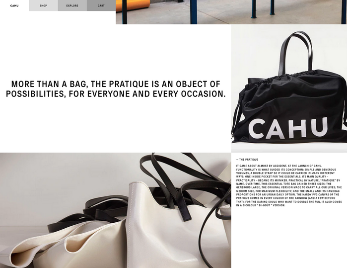 CAHU website and social media 1