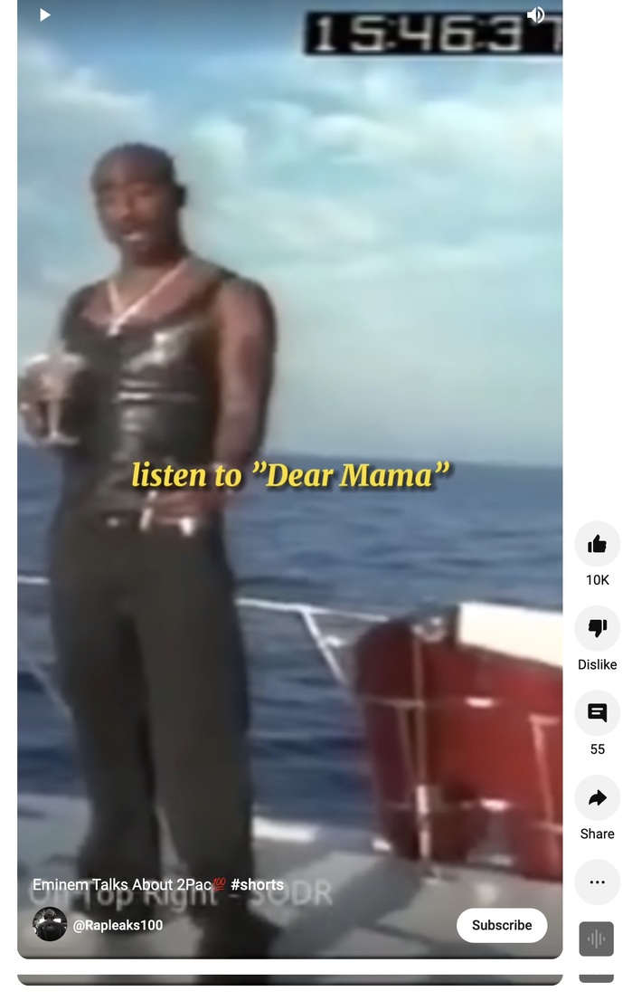 Rapleaks100 shorts 3