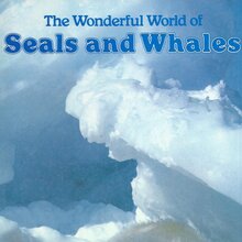 <cite>The Wonderful World of Seals and Whales </cite>by <span> <span> Sandra Lee Crow</span></span>