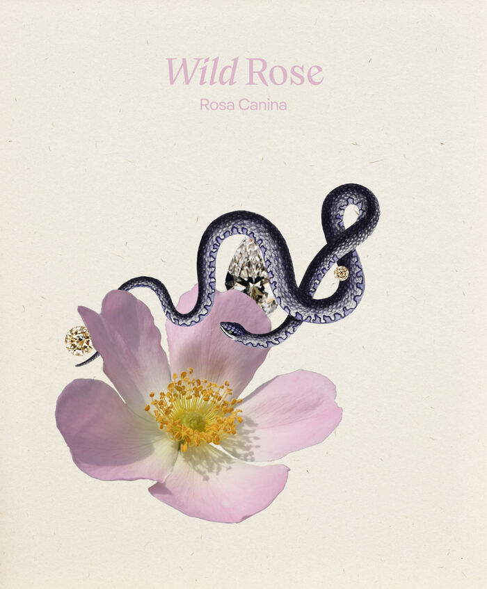 The Spirited Garden visual identity 3