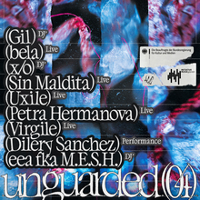 Unguarded 04 label night