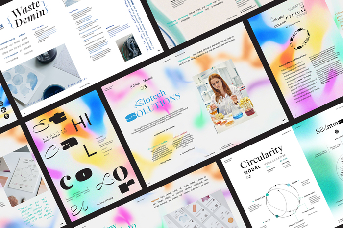Ethical Colour Report
