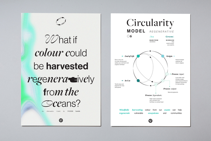 Colour Story Exhibition Posters, Circularity Model