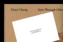 Xinyi Cheng, <cite>Seen Through Others</cite>
