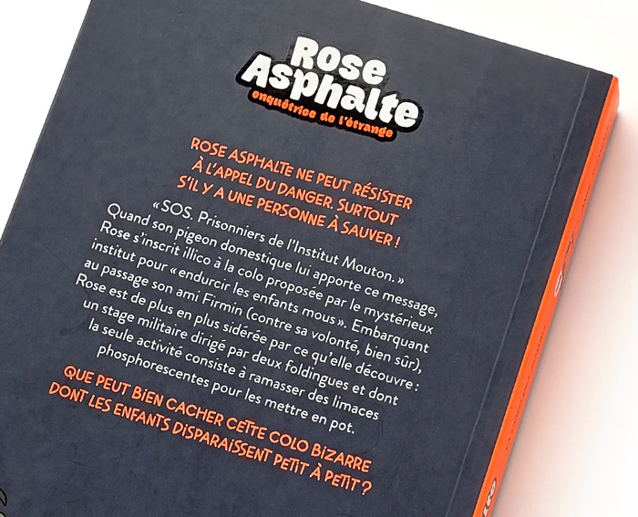 Rose Asphalte book series by Anne Schmauch 4